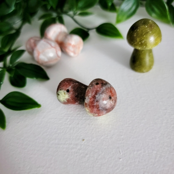 Mini mushrooms - Picture 5 of 10